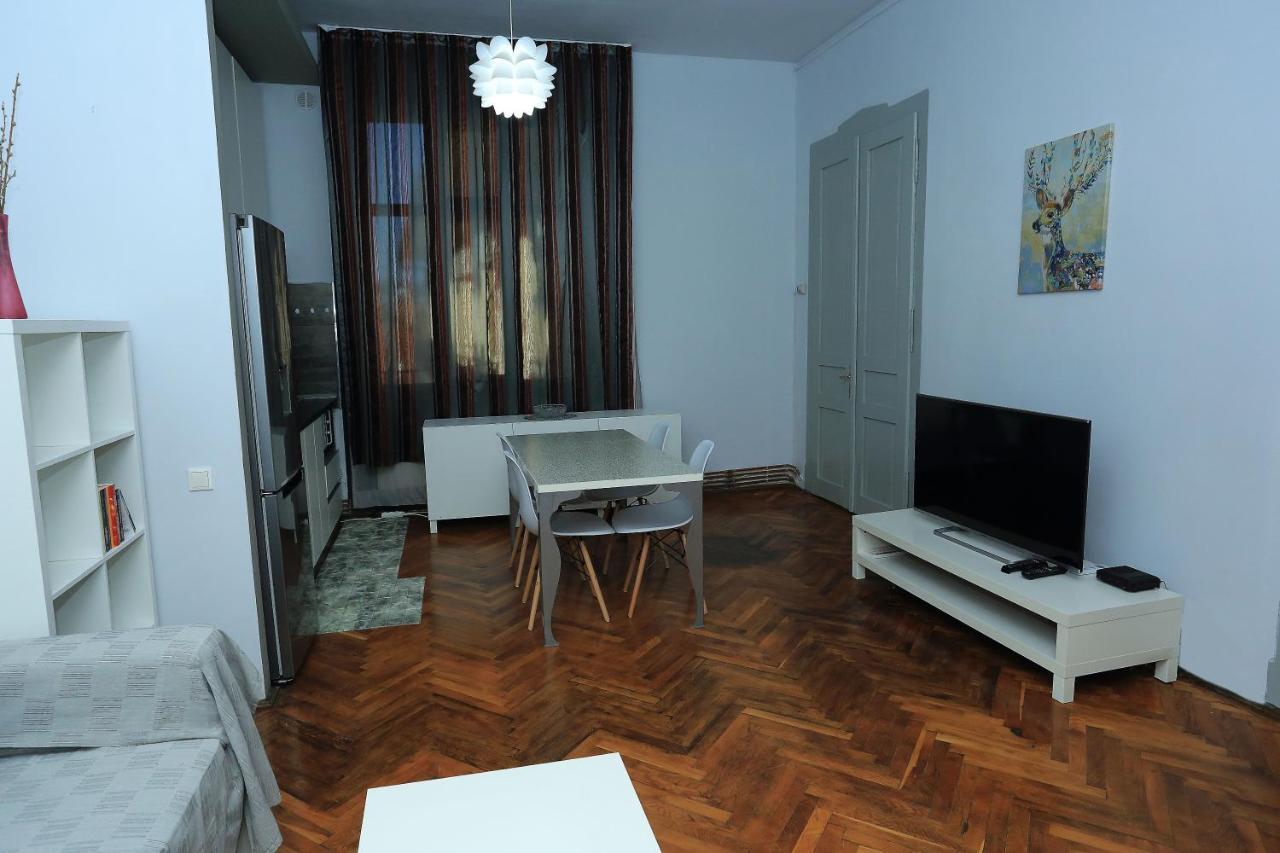 Napoca Central Apartment Клуж-Напока Екстериор снимка
